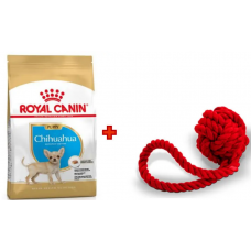 Royal Canin Chihuahua Puppy 1,5 кг + іграшка корм для цуценят породи чихуахуа1