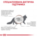 Royal Canin Fibre Response 85г* 12шт паучі при розладах травлення у кішок3