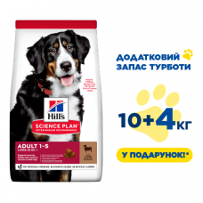 Hills SP Adult Large Breed 14кг корм для собак великих порід з ягням1