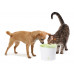Поїлка-фонтан Catit «Fresh & Clear» 3л для котів та собак3