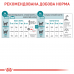 Royal Canin Ageing (11+) Sterilised 2 кг - корм для стерилізованих кішок старше 11 років3