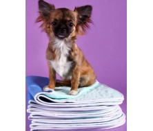 Пелюшки для собак