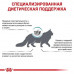 Royal Canin Skin & Coat в соусі 85г*12 шт - паучі для кішок (дерматоз)2