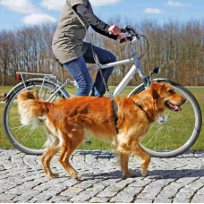 Trixie TX-1282 поводок для собак для бігу або їзді на велосипеді1