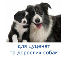 Пуріна Про План для цуценят та дорослих собак