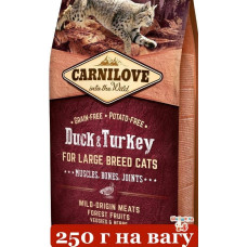 Carnilove Cat Duck and Turkey 0,25 кг (на вагу) - корм для кішок великих порід з качкою та індичкою1