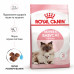 Royal Canin Mother and Babycat 2кг - корм для кошенят та вагітних/годуючих кішок3
