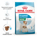 Royal Canin Mini Starter 8кг -корм для цуценят до 2 місяців, вагітні та суки маленьких розмірів2