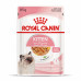 Royal Canin Kitten (шматочки в желе) 85г * 12шт паучі для кошенят8