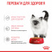 Royal Canin Kitten (шматочки в желе) 85г * 12шт паучі для кошенят6
