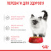 Royal Canin Kitten (шматочки в желе) 85г * 12шт паучі для кошенят3