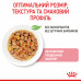 Royal Canin Kitten (шматочки в желе) 85г * 12шт паучі для кошенят3