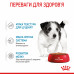 Royal Canin Mini Puppy 85г * 12шт - паучі для цуценят дрібних порід у віці c 2 до 10 місяців3