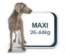 Royal Canin Maxi- для собак весом от 25 кг до 45 кг