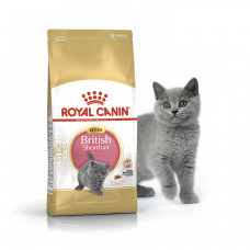Royal Canin Kitten British Shorthair 2кг для кошенят британської короткошерстої1