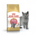 Royal Canin Kitten British Shorthair 10кг - корм для кошенят британської короткошерстої кішки2