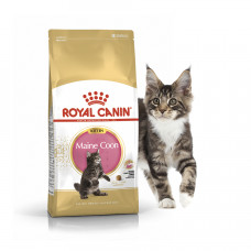 Royal Canin Maine Coon Kitten 400г (на вес) корм для котят породы мейн-кун1