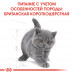 Royal Canin Kitten British Shorthair 2кг для кошенят британської короткошерстої6