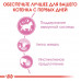 Royal Canin Kitten (паштет) 85 г * 12 шт - паучі для кошенят від 4 до 12 місяців4