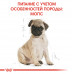 Royal Canin Pug Puppy 1,5кг - корм для цуценят мопс4