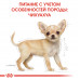 Royal Canin Chihuahua Puppy 0,5кг- корм для цуценят породи чихуахуа5