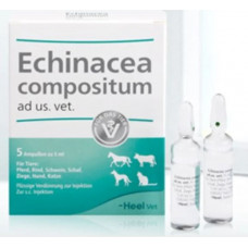 Ехінацея композитум 5мл 5 ампул - стимуляція власного захисту організму (Echinacea compositum, Heel)1