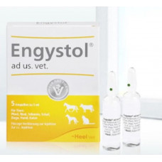 Энгистол 5мл 5 ампул - стимуляция защитных сил организма ( Engystol, Heel )1