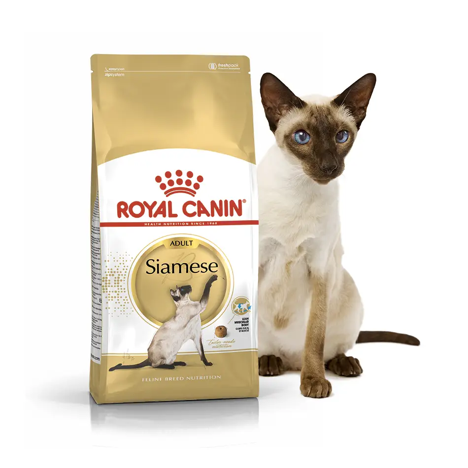 Royal Canin Siamese 10кг- корм для сиамских кошек1