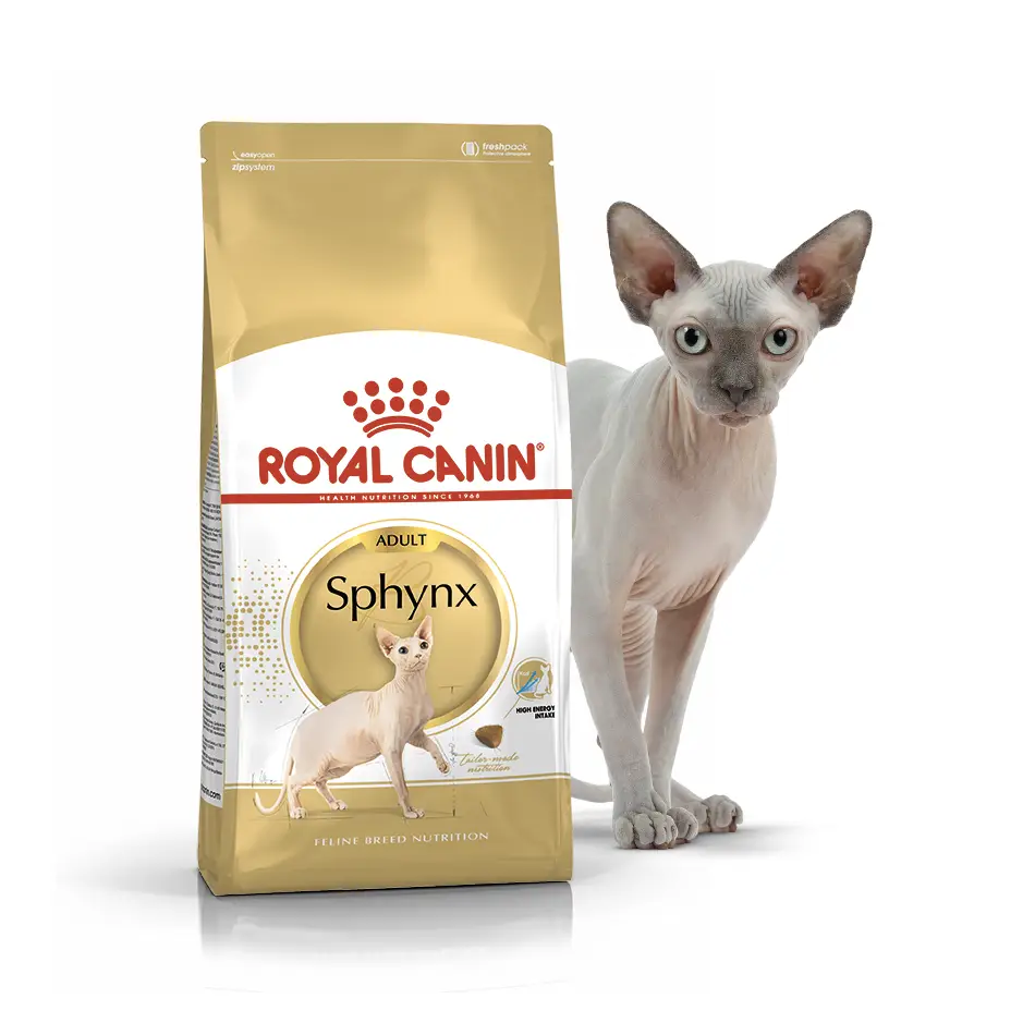 Royal Canin Sphynx 10кг-корм для кішок породи cфінкс1