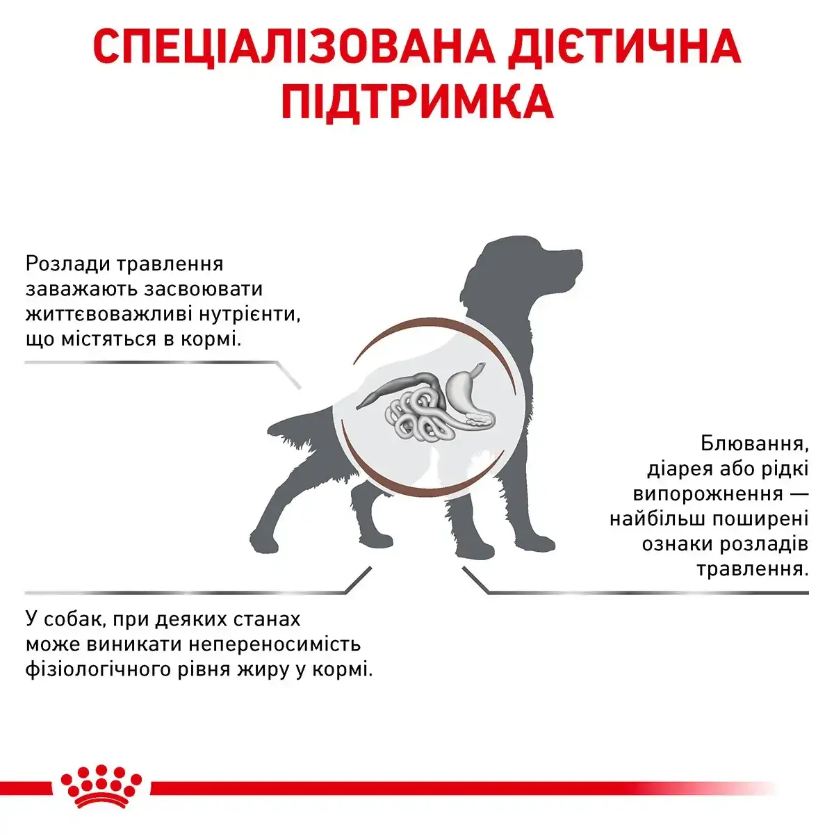 Royal Canin Gastro Intestinal Low Fat Canine 6 кг - дієта для собак з обмеженим вмістом жирів2