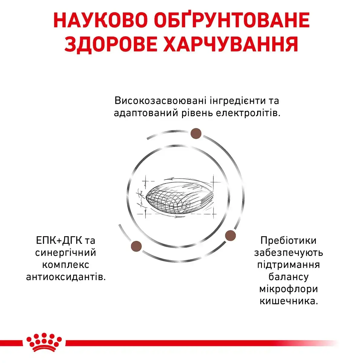 Royal Canin Gastro Intestinal Low Fat Canine 6 кг - дієта для собак з обмеженим вмістом жирів3