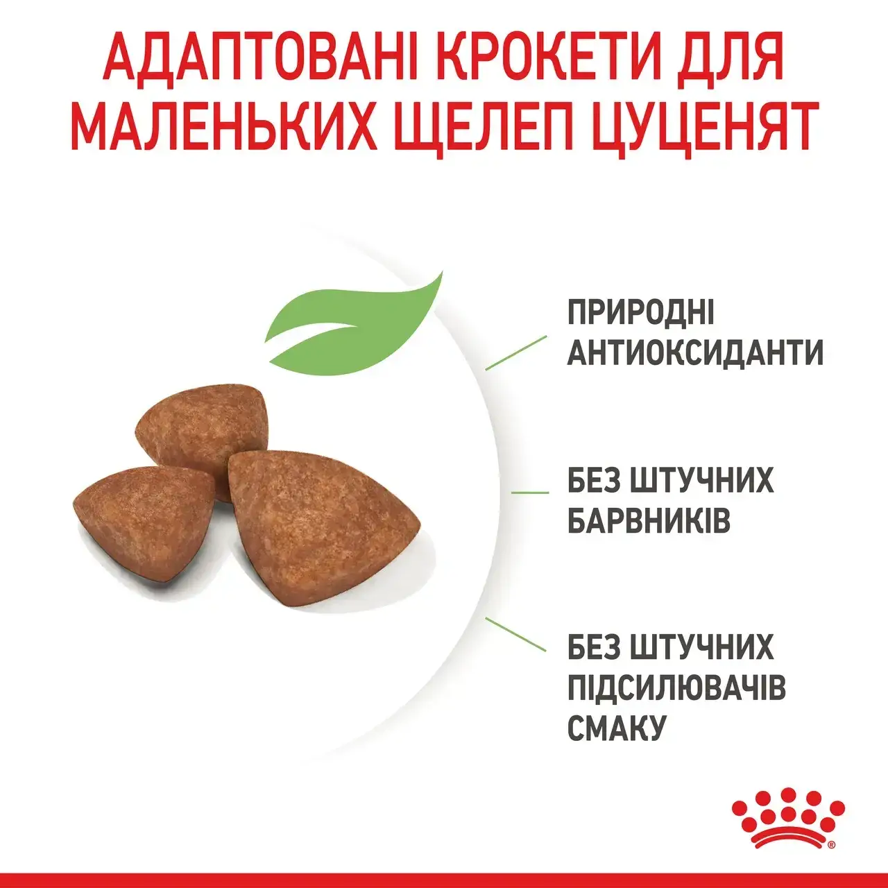 Royal Canin X-Small Puppy 3кг корм для цуценят мініатюрних розмірів2