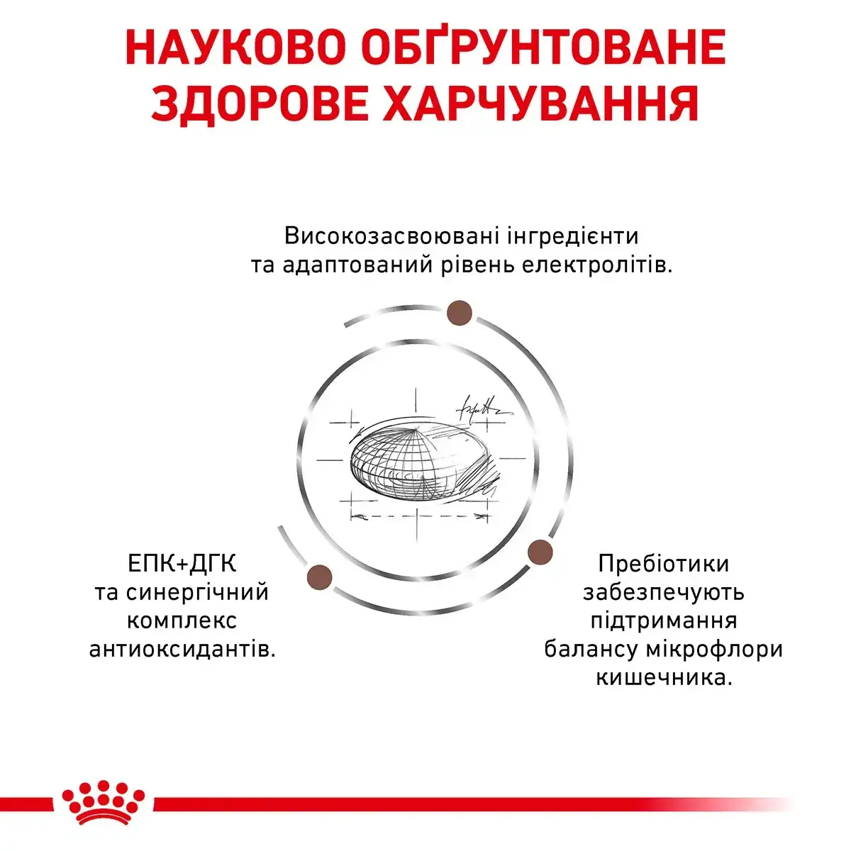 Royal Canin Gastro Intestinal Dog 7,5 кг — дієта для собак у разі порушення травлення3