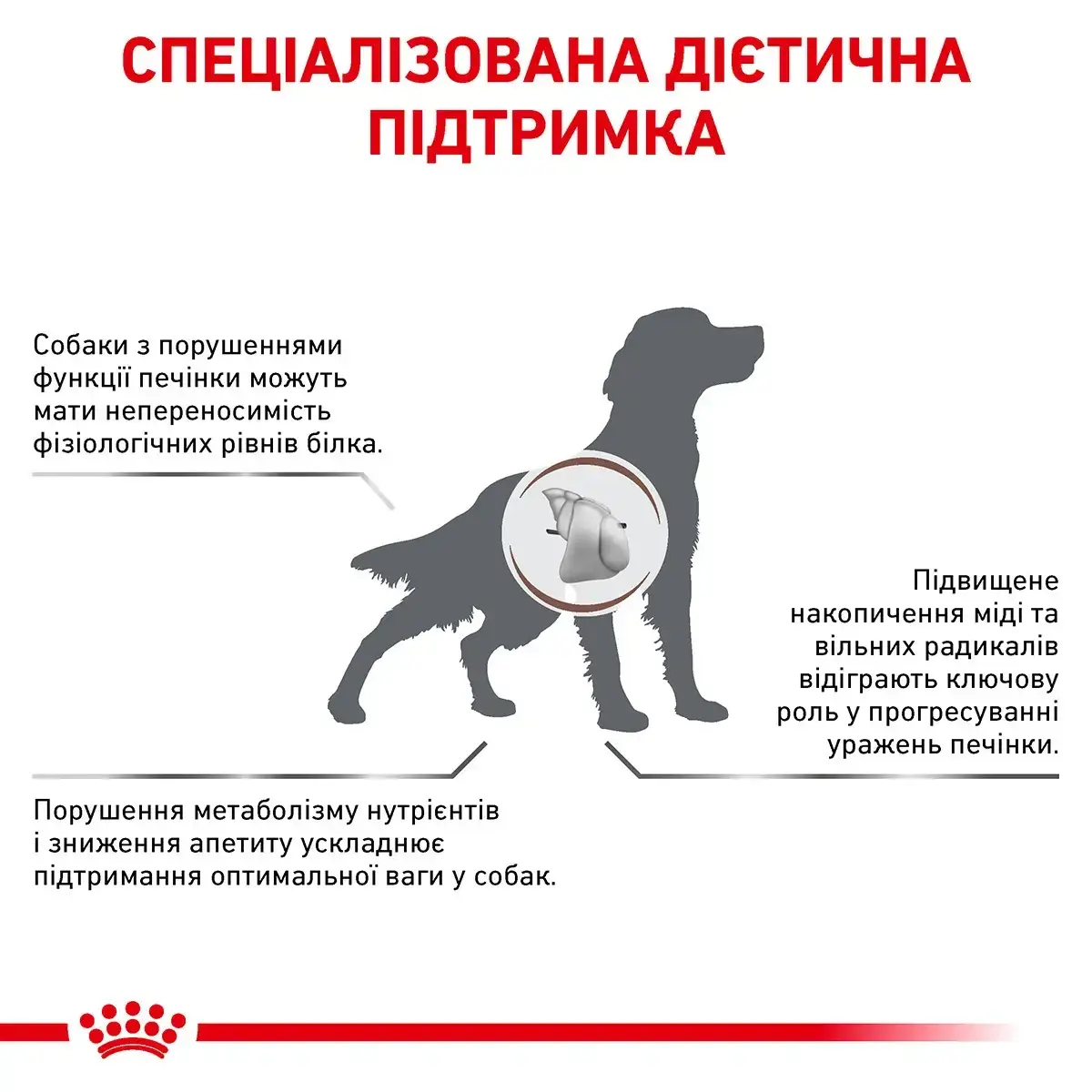 Royal Canin Hepatic Dog 7 кг-дієта у разі захворювань печінки в собак5