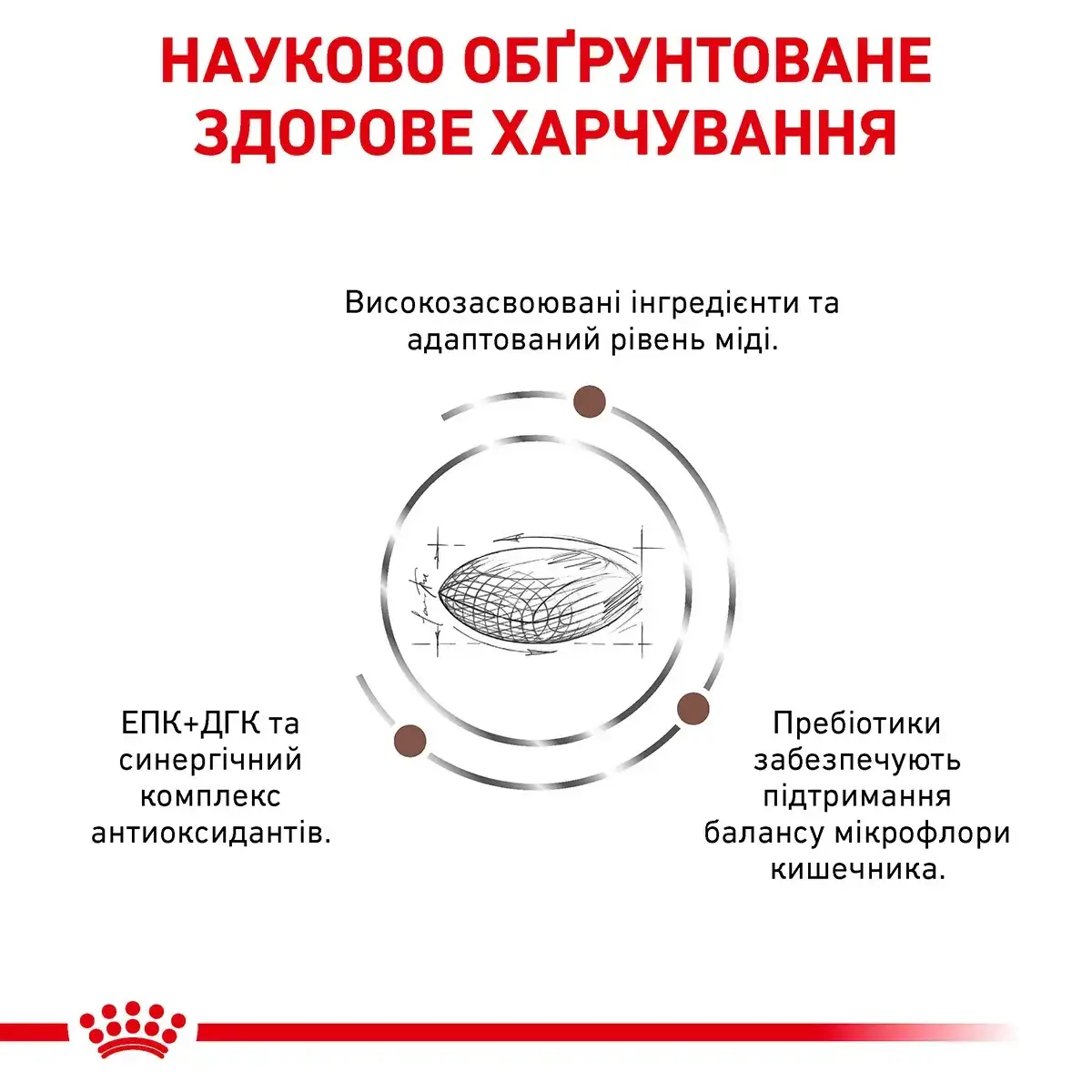 Royal Canin Hepatic Dog 7 кг-дієта у разі захворювань печінки в собак2