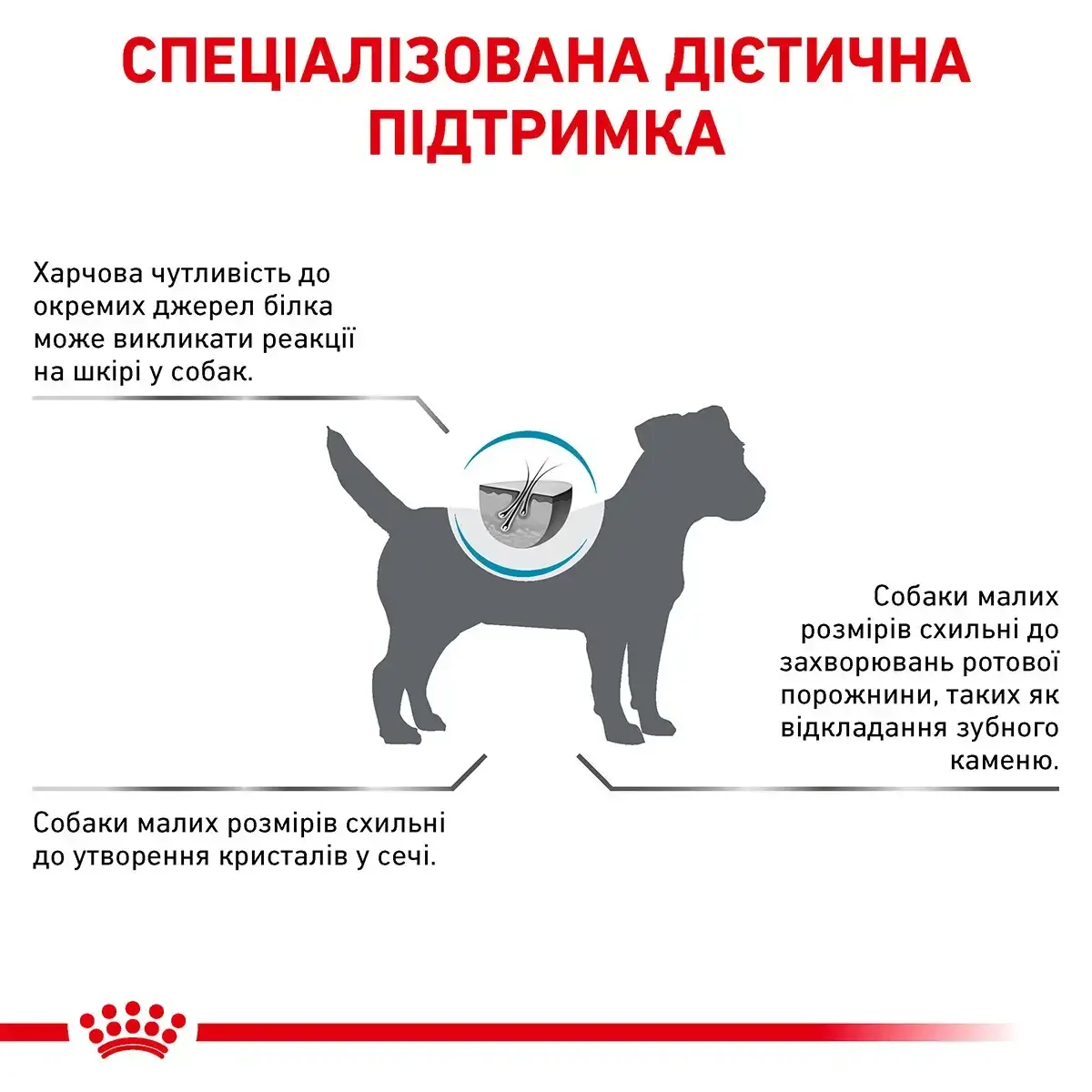 Royal Canin Hypoallergenic Small Dog 3,5кг - дієта для собак дрібних порід із харчовою непереносимістю3