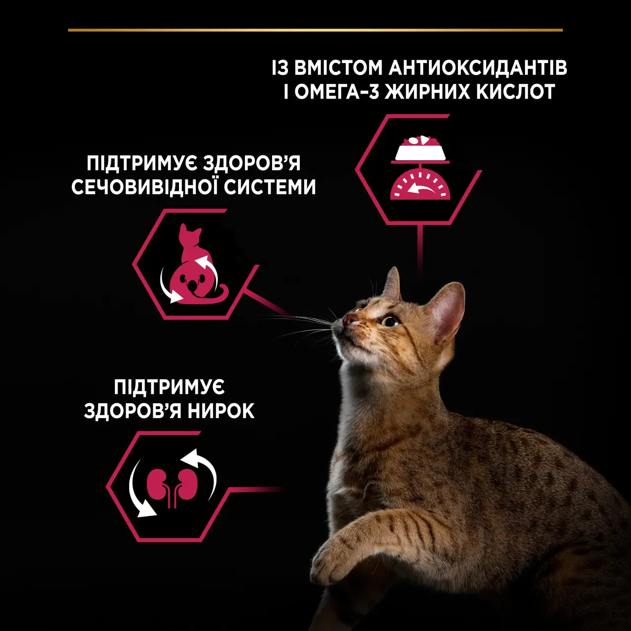 Purina Pro Plan Sterilised Savoury Duo 10кг - корм для стерилізованих кішок і котів з качкою2