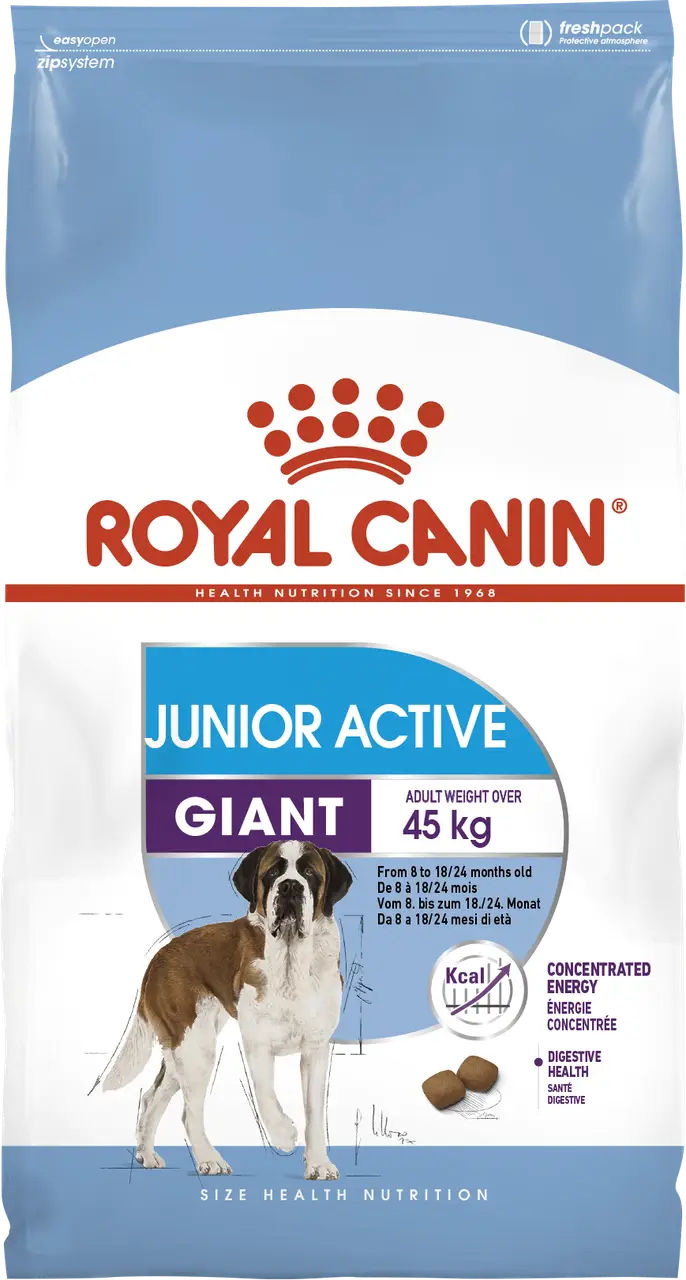 Royal Canin Giant Junior Activ 15 кг для активних цуценят гігантських порід1