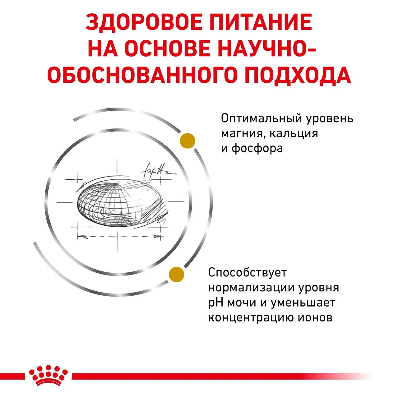 Royal Canin Urinary S/O Feline 400г дієта при сечокам'яній хвороби у котів2