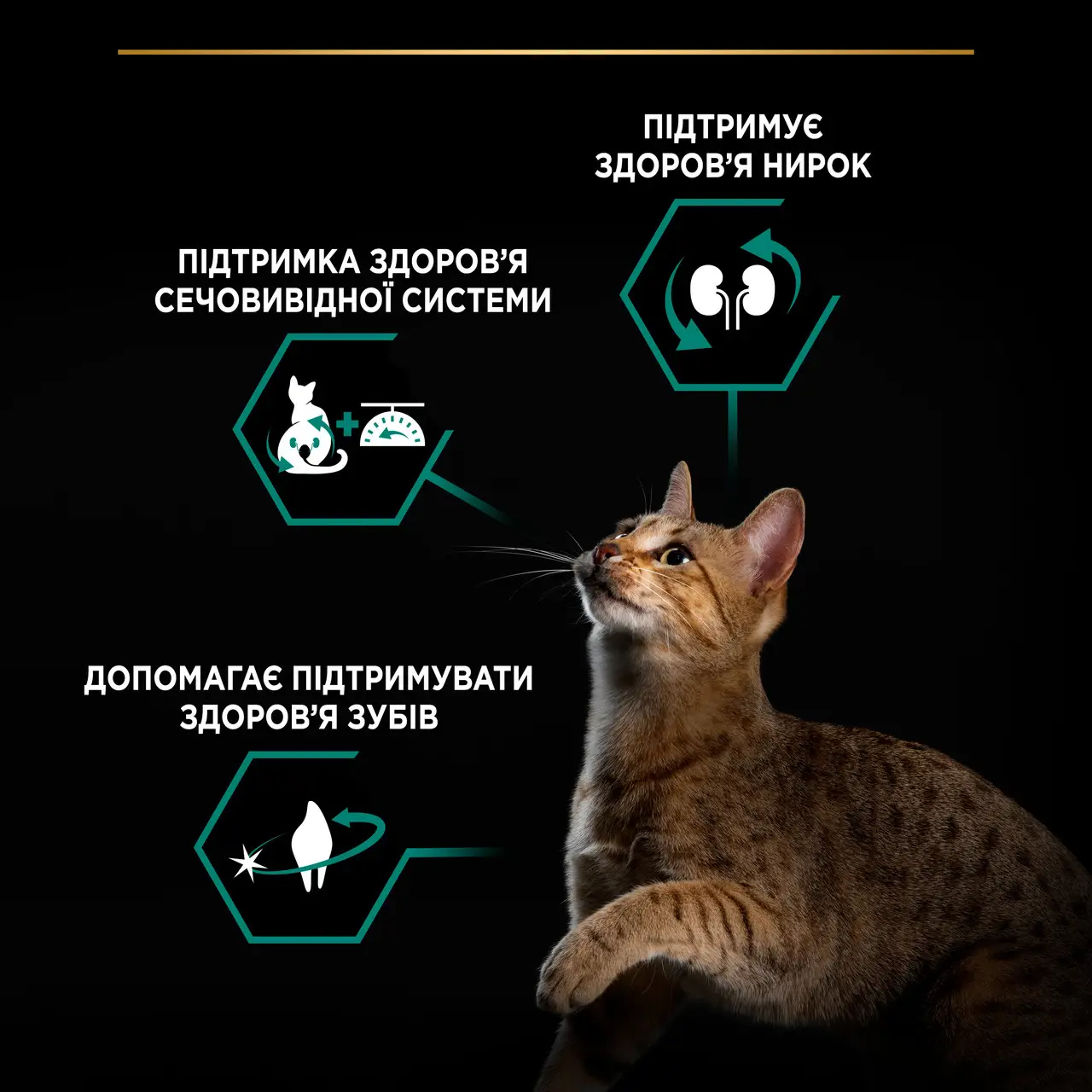Purina Pro Plan Sterilised 14кг-корм для стерилізованих котів з індичкою2
