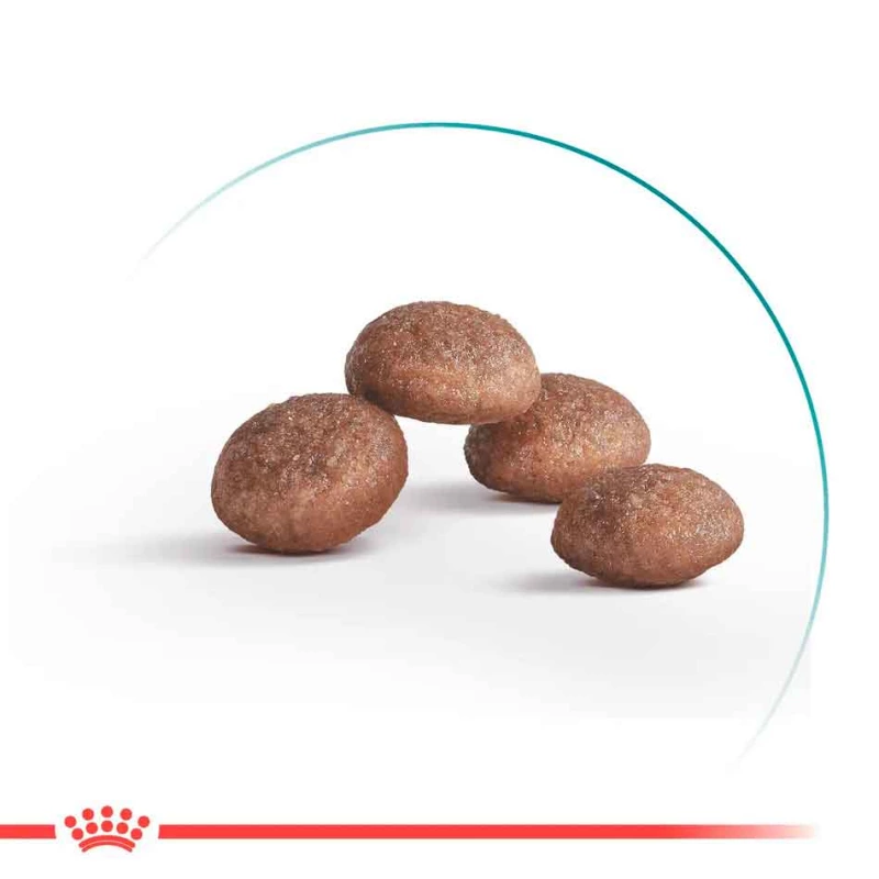 Royal Canin Ageing (11+) 2 кг - корм для кішок старше 11 років2