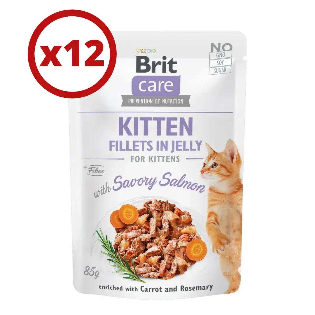 Brit Care Cat pouch 85г * 12шт (філе лосося в желе)1