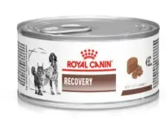 Royal Canin Recovery 195г - консерва для собак і кішок в відновлювальний період1
