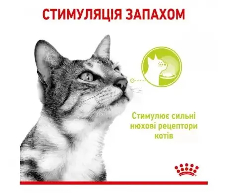 Royal Canin Sensory Smell Gravy (шматочки в соусі) 85г * 12шт - паучі для вибагливих кішок старше 1 року2