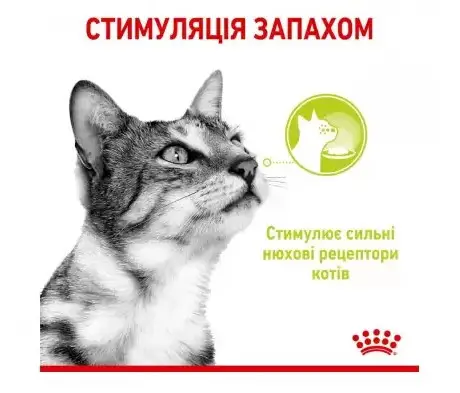 Royal Canin Sensory Smell Jelly (шматочки в желе) 85г * 12шт - паучі для вибагливих кішок старше 1 року4