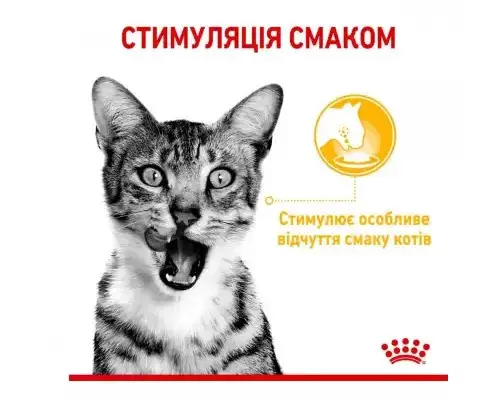 Royal Canin Sensory Feel (шматочки в желе) 85г*12 шт - паучі для вибагливих кішок3