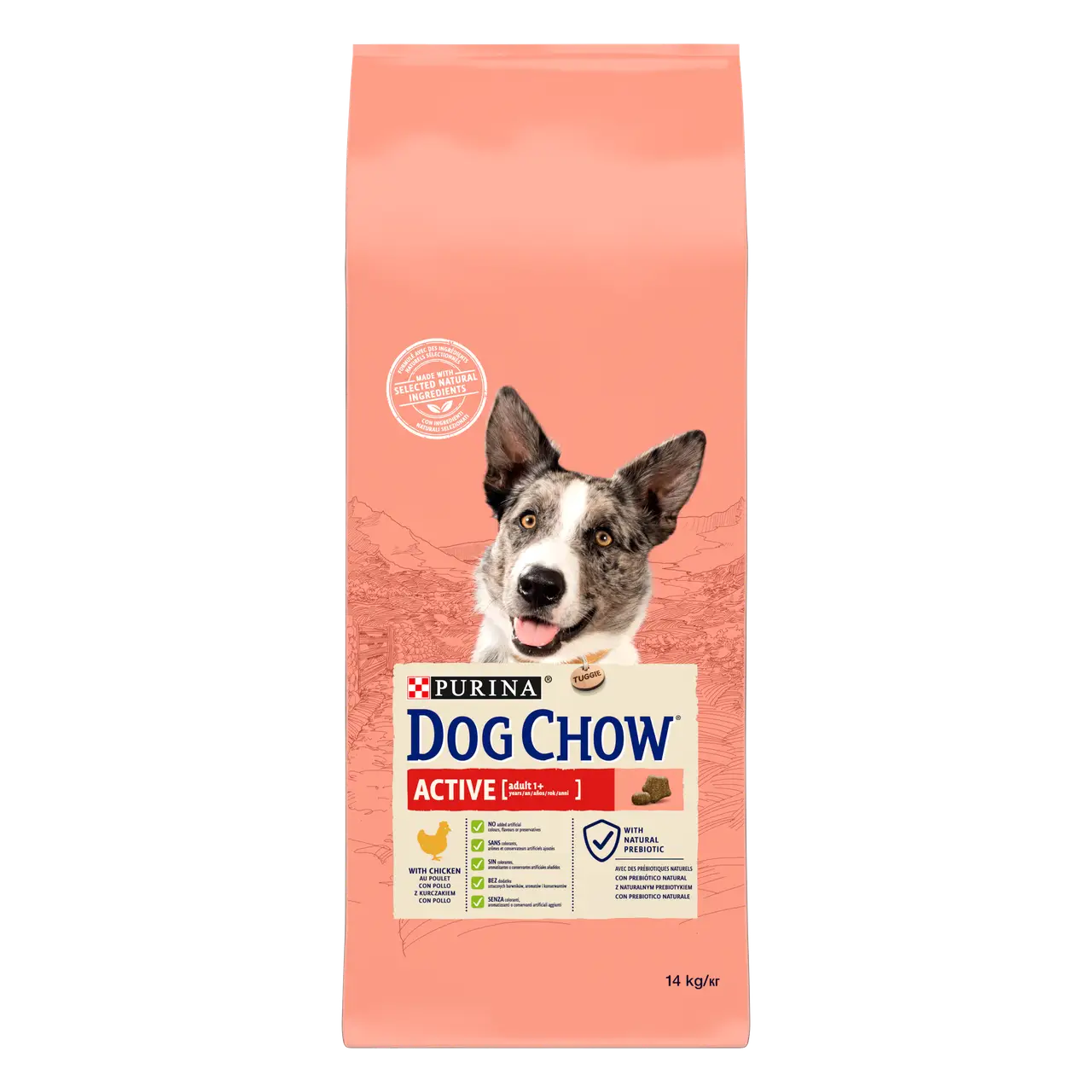 Dog Chow Active 14 кг корм для собак з куркою1