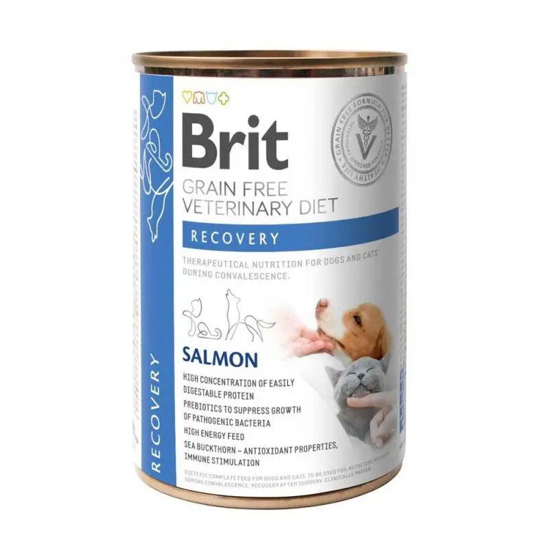 Brit VetDiets Recovery консерва для кішок та собак у період відновлення 400 г (лосось)1