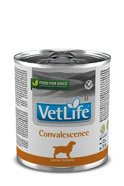 Farmina Dog Vet Life Convalescevce консерва для собак у період одужання 300 г1
