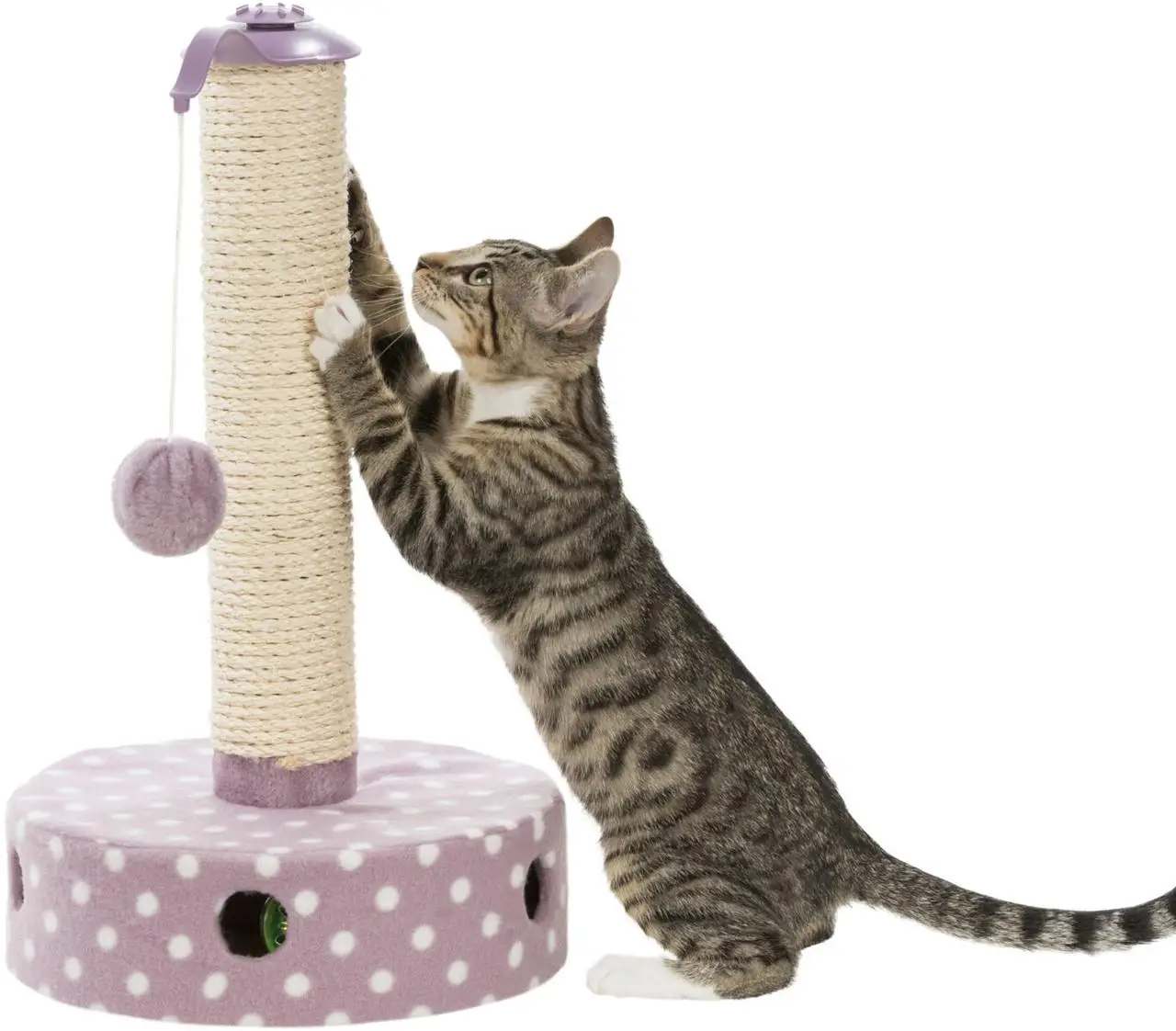 Trixie TX-42930 Junior Scratching Post кігтеточка 47 см з іграшками для кішок4